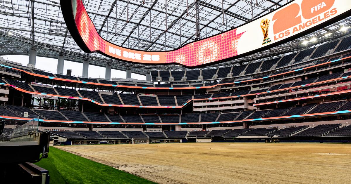 Authorities will take down drones at World Cup events amid wartime security measures