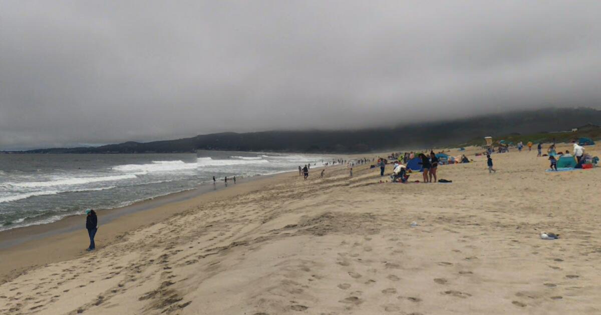 Possibly 'distracted' lifeguard drives over sunbather in Half Moon Bay