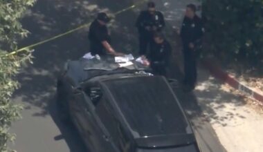 L.A. homeowner finds 20 sticks of live dynamite in freezer