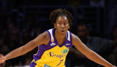 Concussions in the WNBA are on the rise. But why?