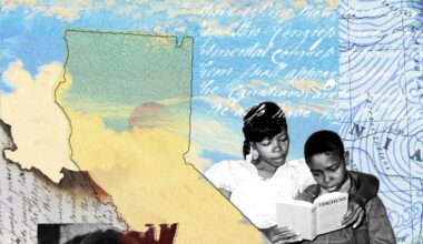 Excerpt from Zinzi Clemmons' book of essays "Freedom"