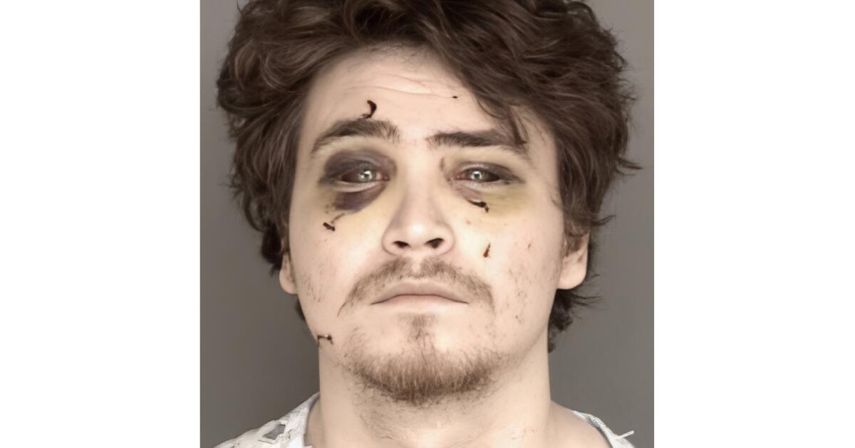 Canadian posed as Amazon driver to try to kill woman he met online