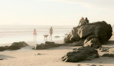 How to walk the L.A. coastline, from secret stairways to king tides
