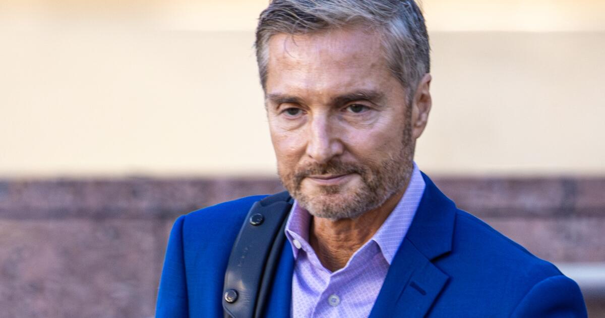 Peter Grossman concedes wife was drinking, speeding before she hit boys