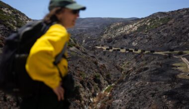 Fire ravaged a pristine California island. Will it recover?