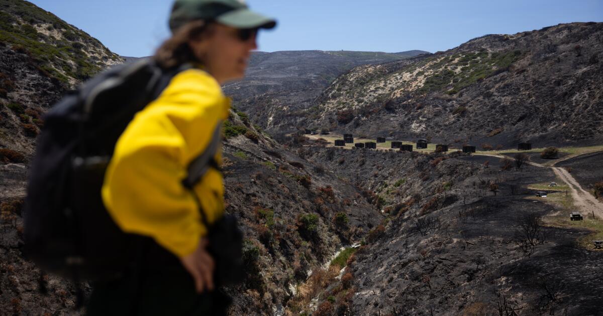 Fire ravaged a pristine California island. Will it recover?