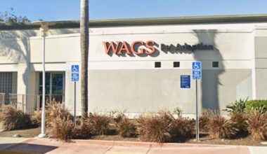 Costa Mesa names WAGS as temporary animal shelter, vet care provider