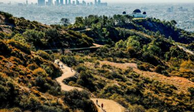 Hollywood Hills hiker dies following rescue attempt