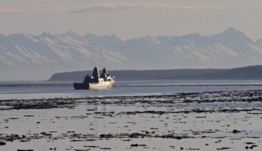 U.S. military searching for Marine missing off San Diego coast