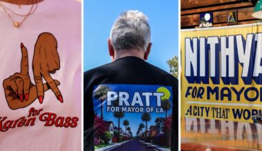 L.A. divided: Bass, Pratt and Raman dominated in different parts of the city