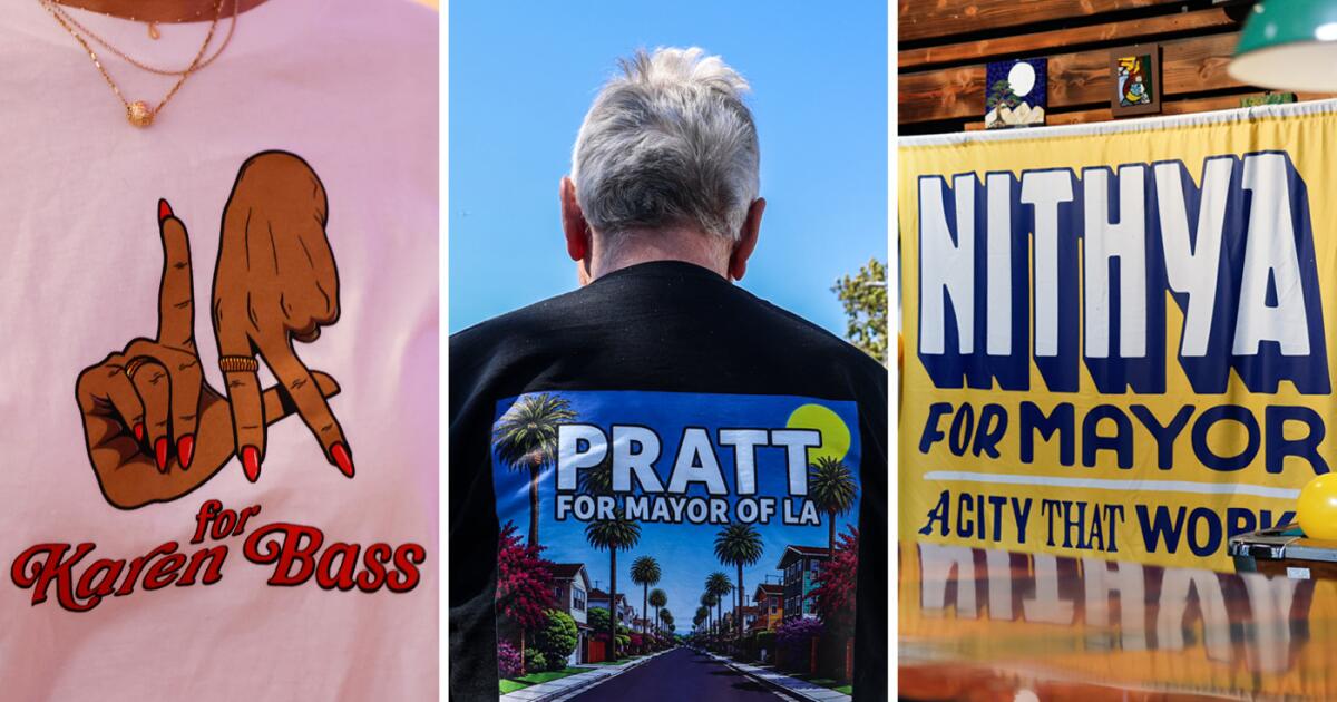 L.A. divided: Bass, Pratt and Raman dominated in different parts of the city