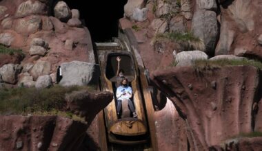 Teen falls 50 feet on Disneyland ride; state finds no operational issues