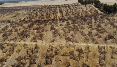 Contributor: Recent assessment of California's water misallocation is the first step toward justice