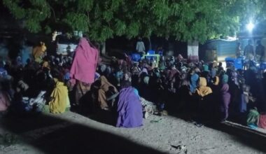 Nigeria's army frees 360 abducted people in Borno state in northeast