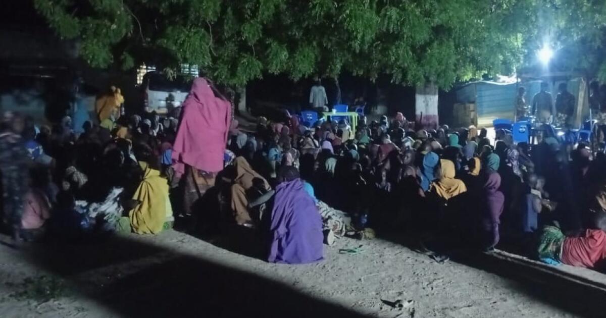 Nigeria's army frees 360 abducted people in Borno state in northeast