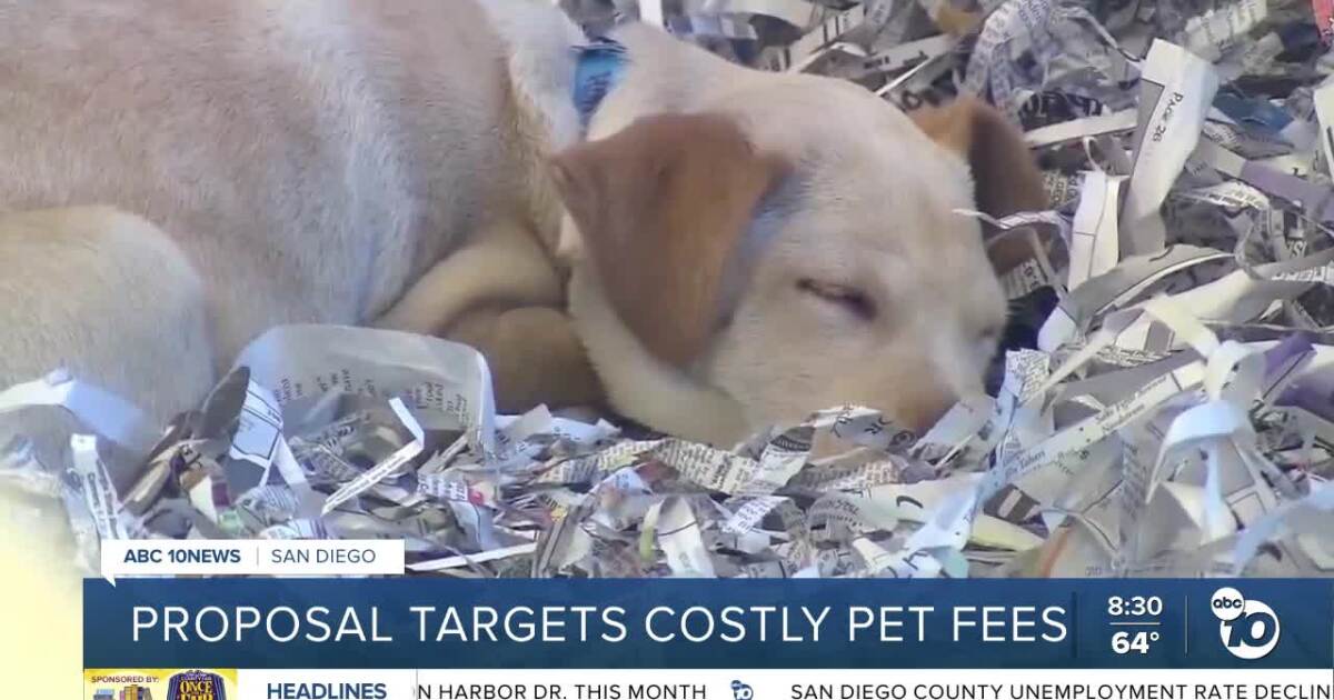 City proposal would eliminate monthly pet rent fees in San Diego