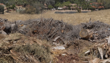 Residents near Cattle King Estates raise concerns over illegal dumping site
