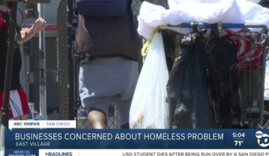 San Diego businesses sound alarm on downtown encampments
