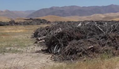 Illegal dumping creates fire hazards, costs taxpayers