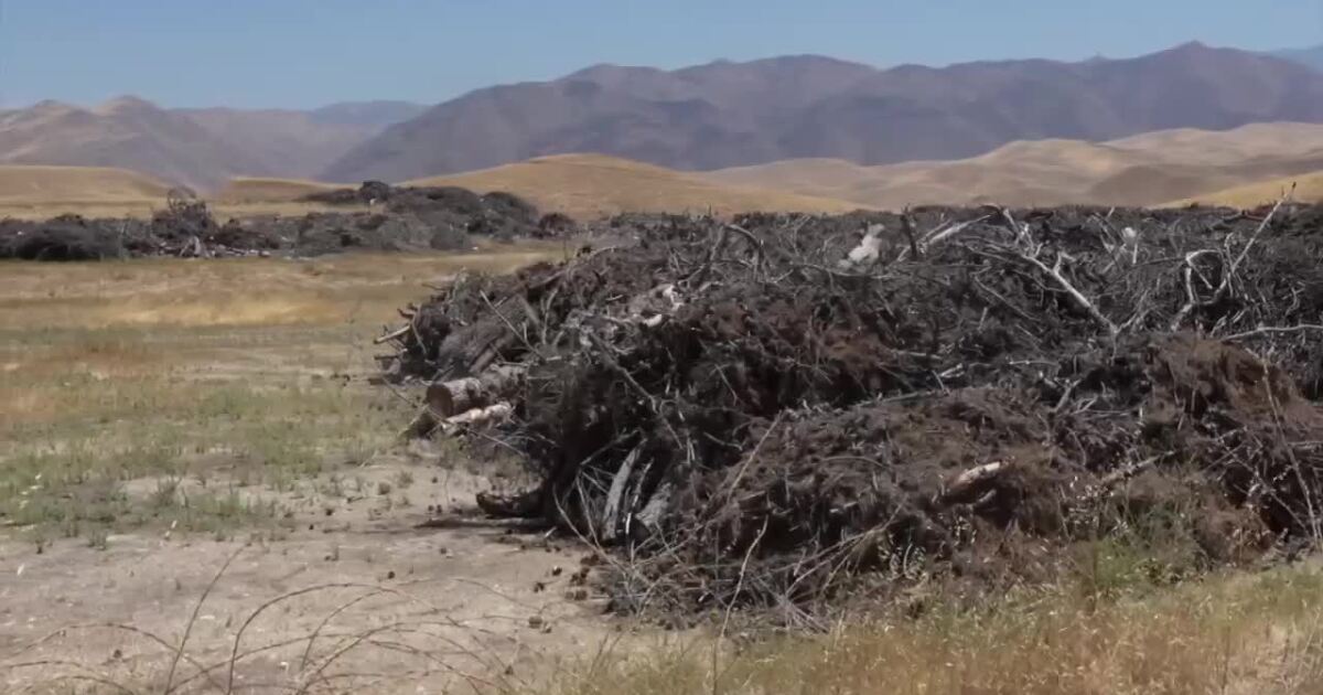Illegal dumping creates fire hazards, costs taxpayers