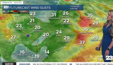 Wind set to pick up as cooler air arrives this weekend