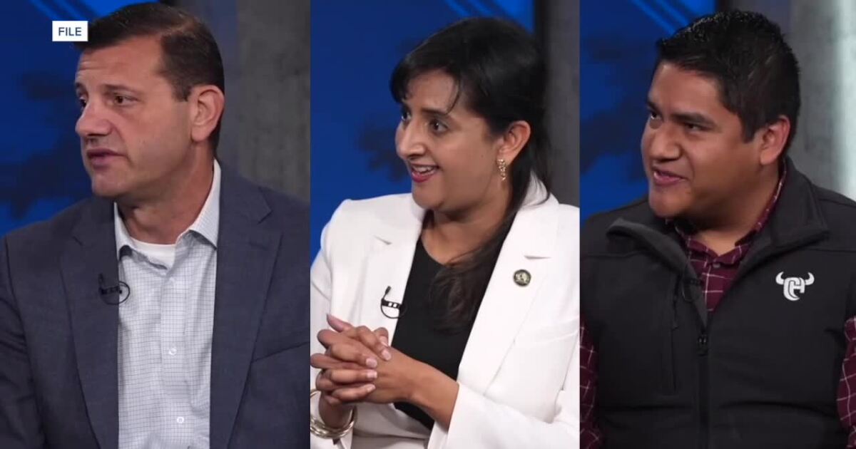 Democrats await final outcome in CA-22 primary