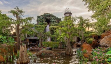 Boy falls down 50-foot waterfall track after getting off Disneyland ride early
