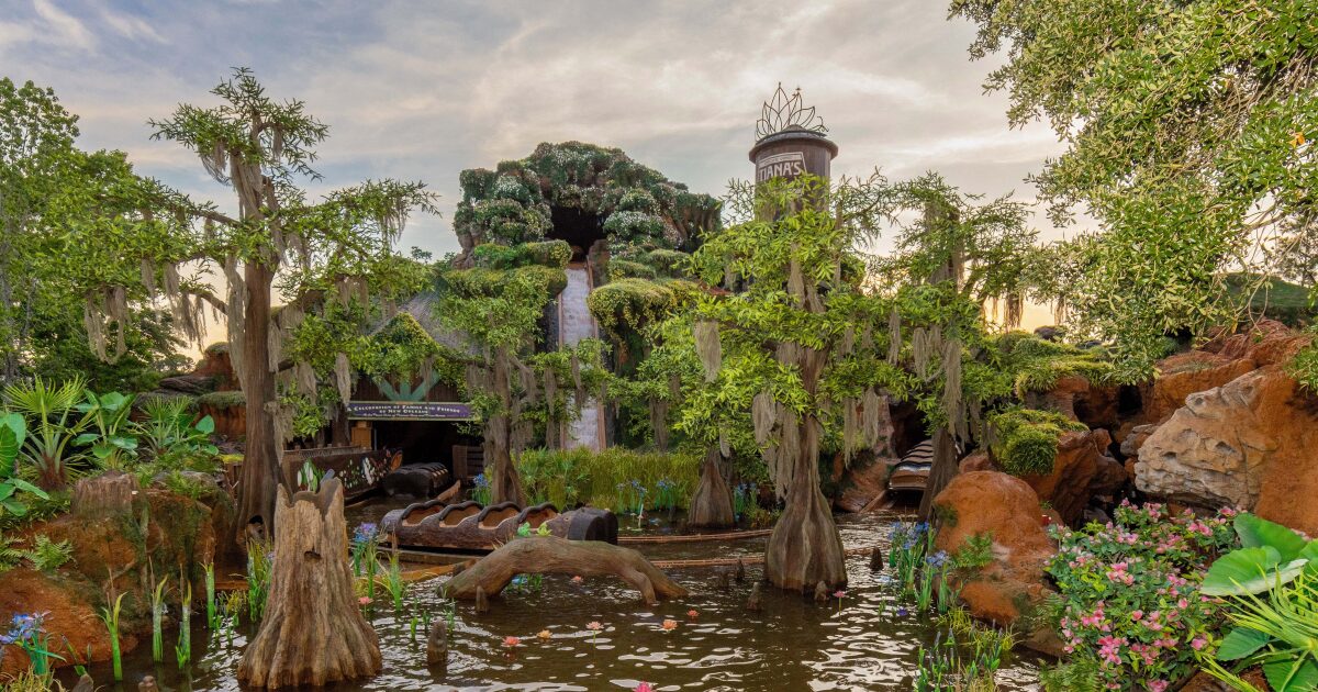 Boy falls down 50-foot waterfall track after getting off Disneyland ride early