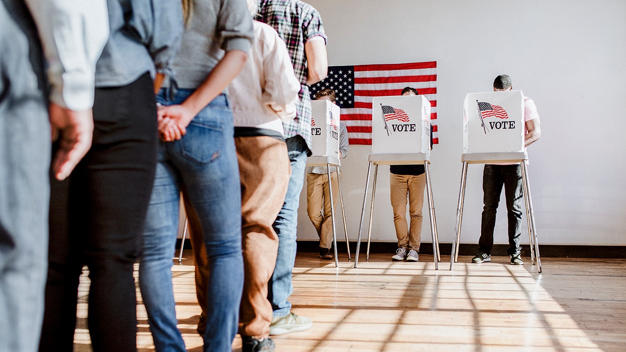 Elon Musk rips LA City Council proposal to allow noncitizen voting