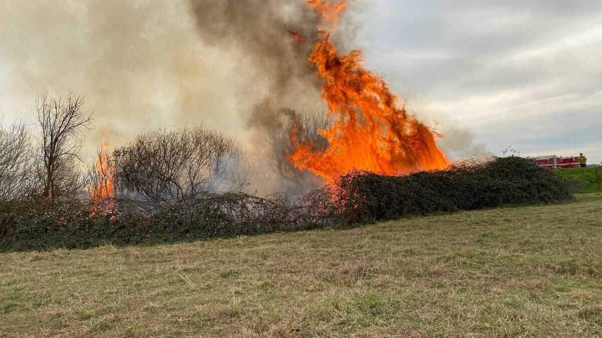 Cal Fire has suspended residential burn permits in Sacramento and 41 other California counties as hot, dry weather increased wildfire risk. Cal Fire has suspended residential burn permits in Sacramento and 41 other California counties as hot, dry weather increased wildfire risk.