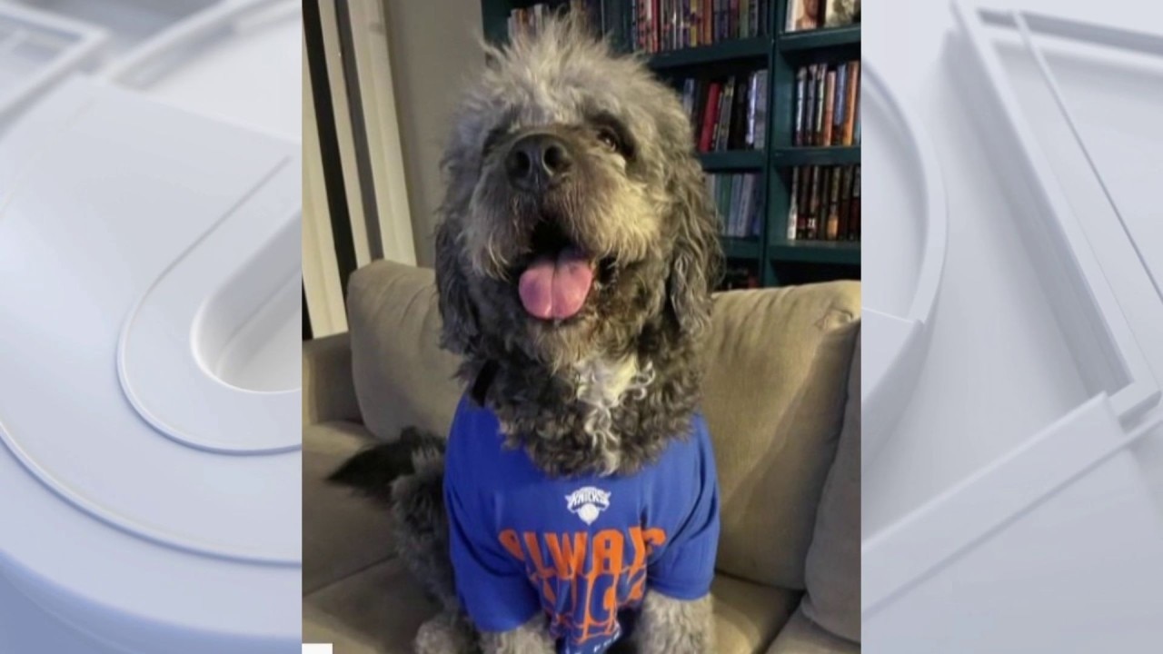 PREVIOUS COVERAGE: Calls grow for transparency after shooting of dog