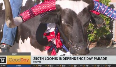 Loomis Independence Day Parade - Good Day Sacramento
