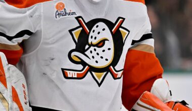 Mar 18, 2025; Dallas, Texas, USA; A view of the logo on the jersey of Anaheim Ducks goaltender Lukas Dostal (1) during the second period against the Dallas Stars at the American Airlines Center. Mandatory Credit: Jerome Miron-Imagn Images