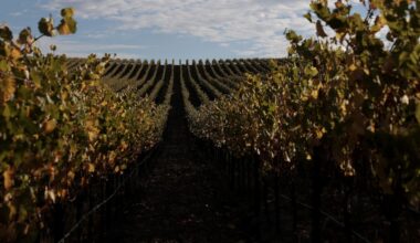 California urges Quebec to return U.S. wine to store shelves