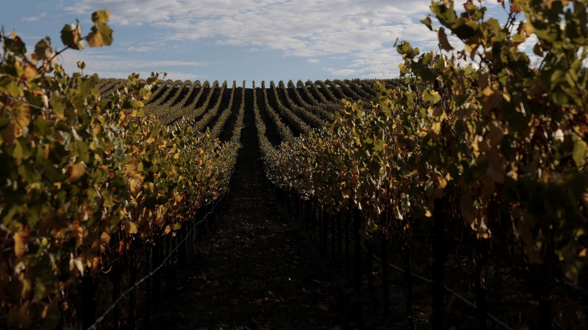 California urges Quebec to return U.S. wine to store shelves