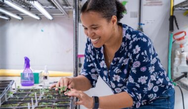 Smiling Brandie Quarles-Chidyagwai tends seedling trays under grow lights in a greenhouse lab