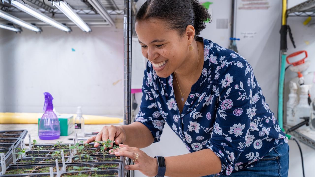 Smiling Brandie Quarles-Chidyagwai tends seedling trays under grow lights in a greenhouse lab