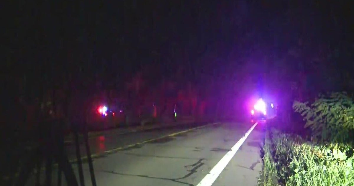 Police pursuit through Livingston and Oakland counties