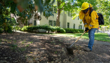 A person in a yellow fire-resistant jacket and hard hat digs into the ground with a shovel on a wooded section of a Northeastern campus, wearing a backpack that appears to be firefighting or wildland-response gear.