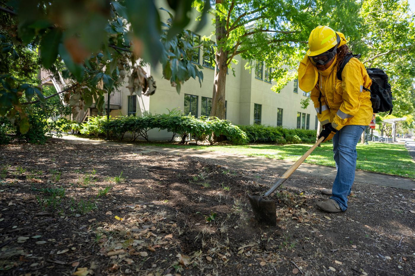 A person in a yellow fire-resistant jacket and hard hat digs into the ground with a shovel on a wooded section of a Northeastern campus, wearing a backpack that appears to be firefighting or wildland-response gear.