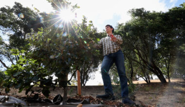 Andrew Gonzales stands in a forest with the sun shining brightly behind him.