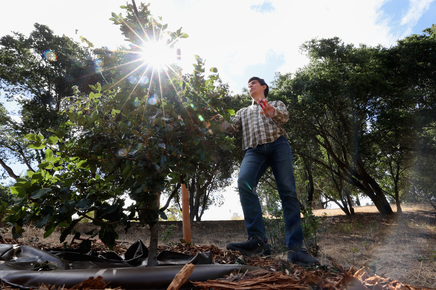 Andrew Gonzales stands in a forest with the sun shining brightly behind him.