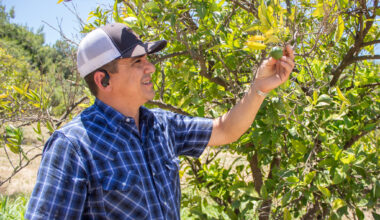 State funding gives California small farmers a reprieve after federal food program ends