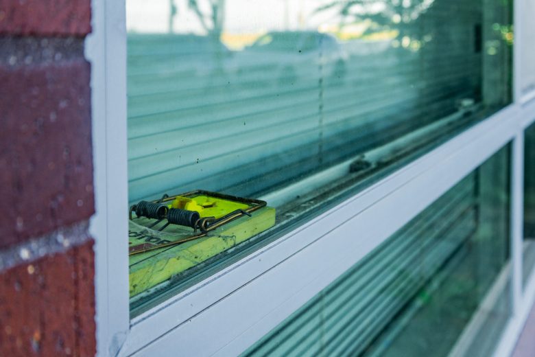 A yellow mousetrap is placed on the windowsill behind a glass window with horizontal blinds partially closed.