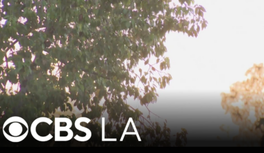 Extreme summer heat returns to Southern California