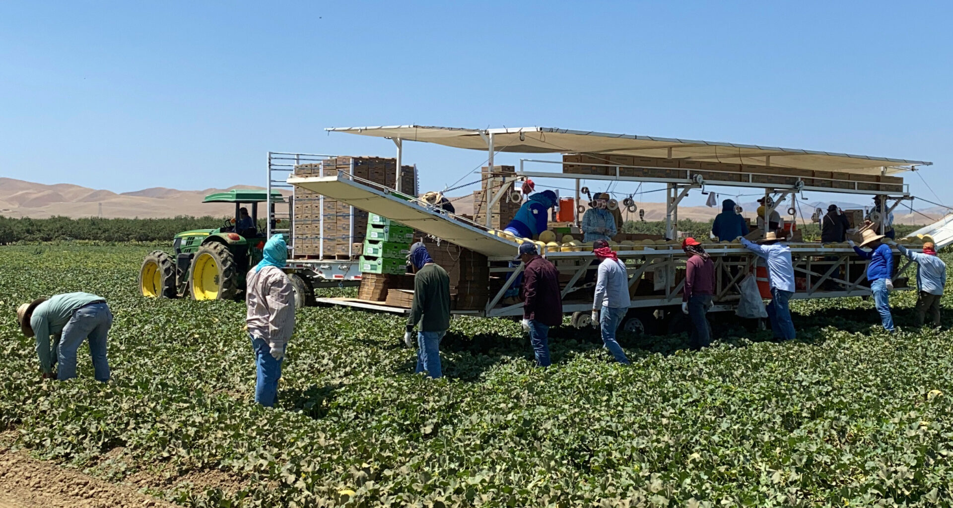 Amid cyclospora concerns, how have California’s farming communities been impacted?