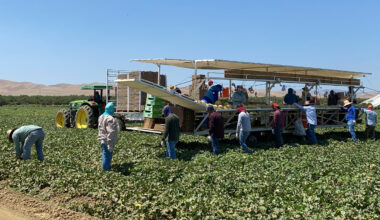 Amid cyclospora concerns, how have California’s farming communities been impacted?