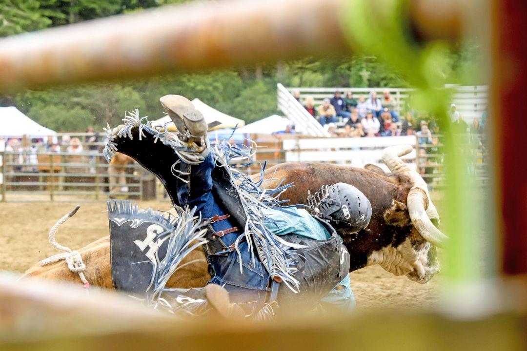 79th annual Long Beach Rodeo rides on: Peninsula Saddle Club dazzles at summer show