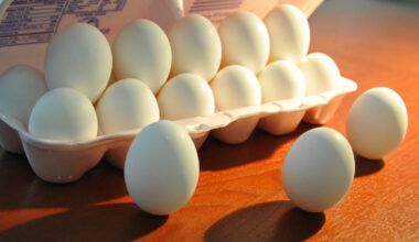 TrueBurger in Oakland to become Egg Palace, a restaurant for breakfast sandwiches