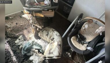 Citrus Heights baby nursery destroyed by firework, juveniles facing arson charges